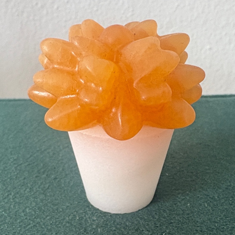 Yellow Calcite Succulent Plant